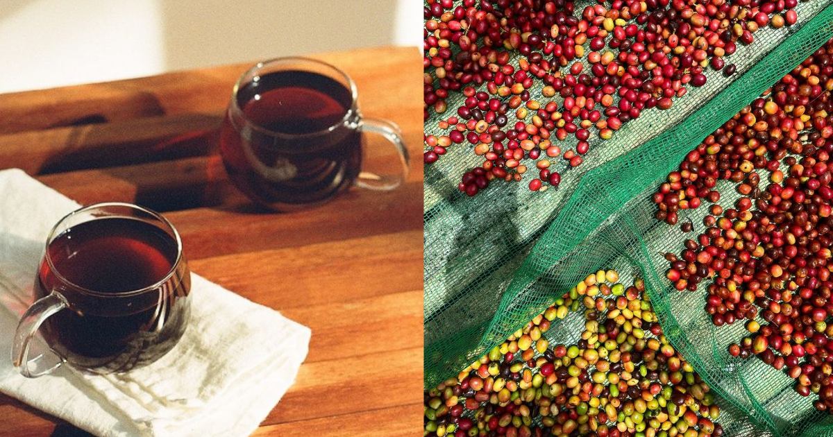 USbased coffee brand Blue Bottle is now offering Filipino coffee